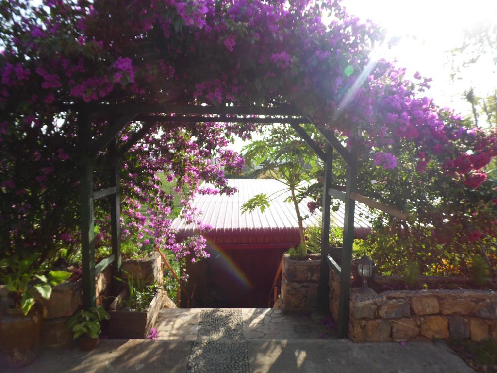 Aythaya Monte Divino Lodge Taunggyi Εξωτερικό φωτογραφία